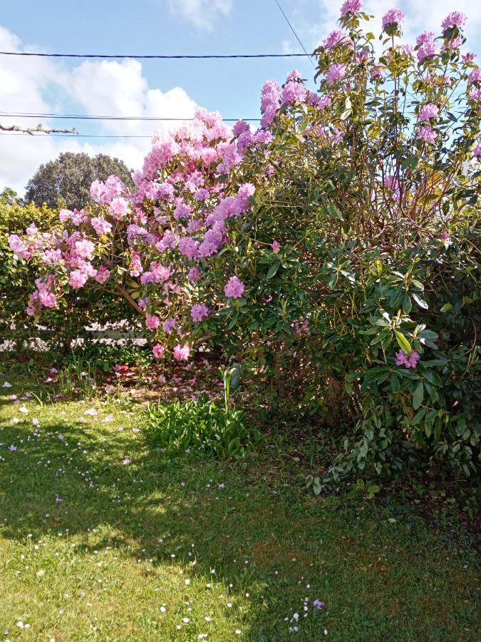 La Fregate Blanche Villa Concarneau Kültér fotó